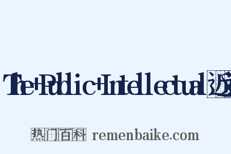 The+Public+Intellectual近义词是什么意思的图片